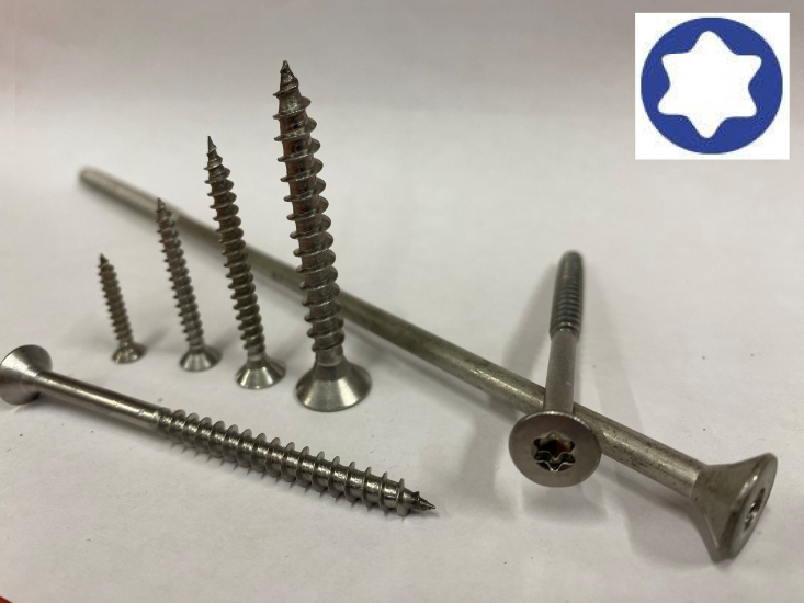 Spaanderplaatschroef Torx verz.kop RVS A2